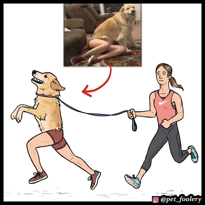 The Author Of 'Brutus And Pixie' Comics Reimagines The Animals From Viral Photos And Almost 500K People Like It