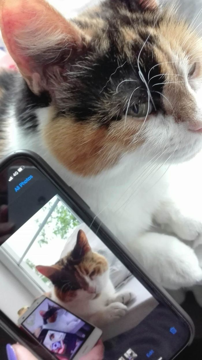 Please, Stop Already...