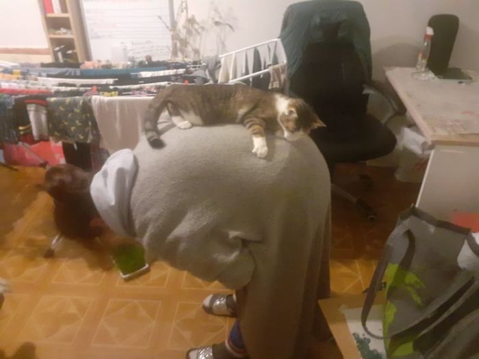 I Can't Quite Remember How She Got There