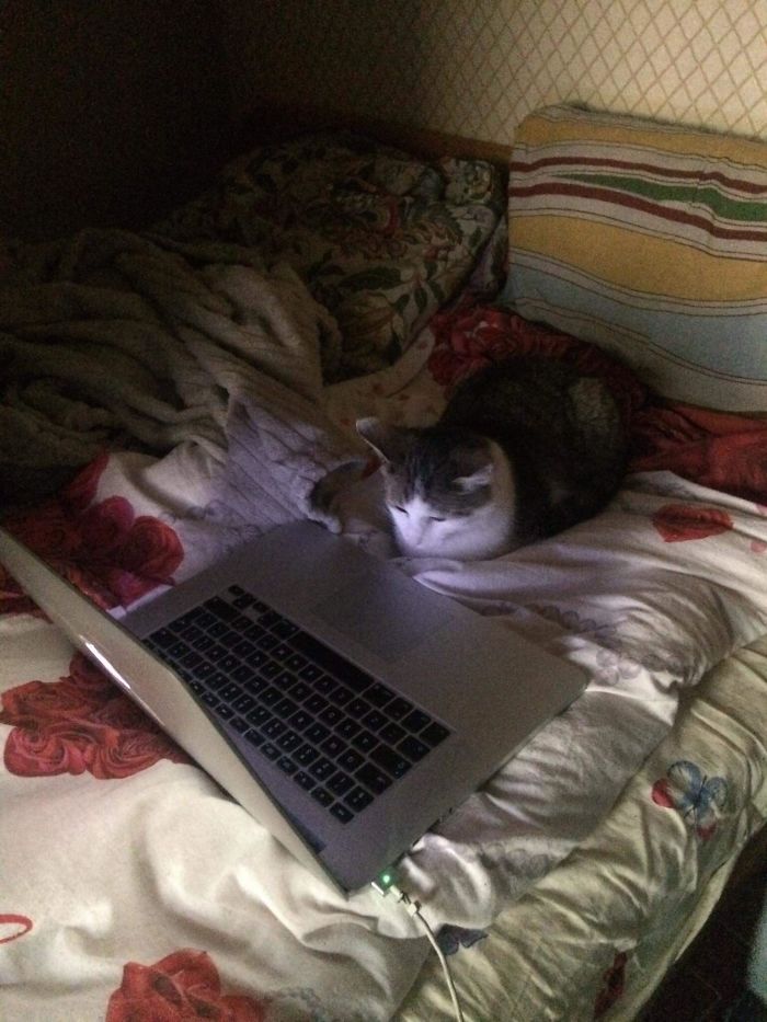 The Internet Sure Is Interesting Today