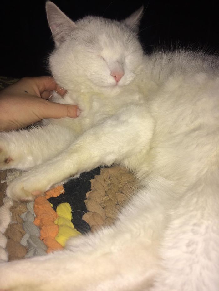 After 5 Years Of Sleeping