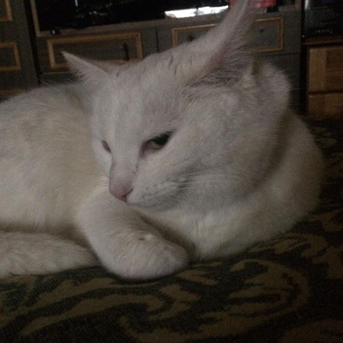 *Evil Scheming Noises*