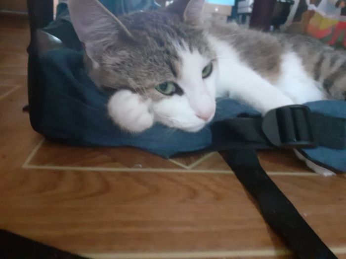 When I Want To Interrupt Her Rest, She Be Like