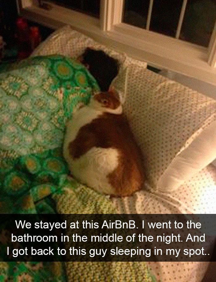 I've Been Out-Chonked