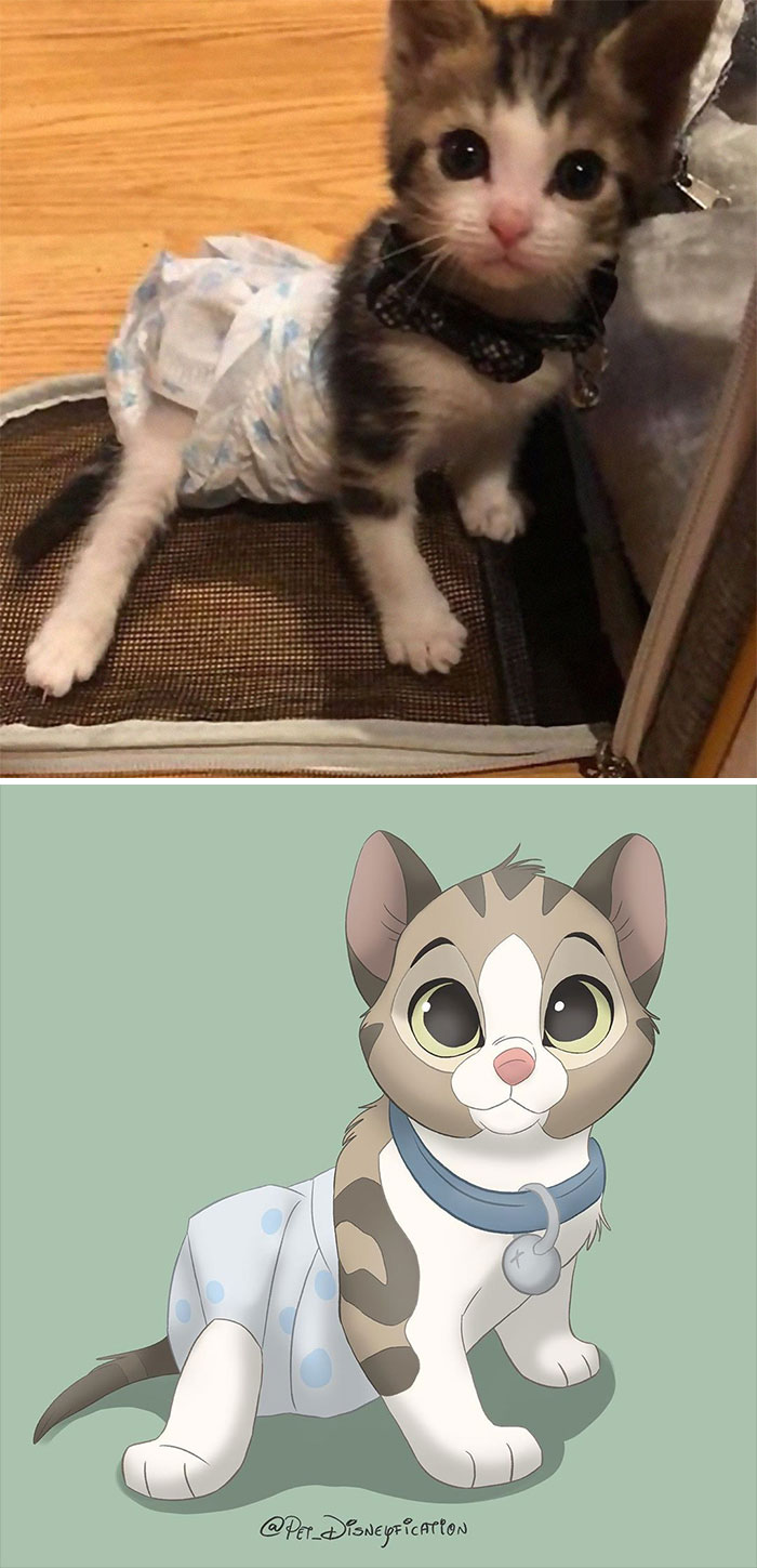 Artist-Turns-Pets-Disney-Characters-Pet-Disneyfication