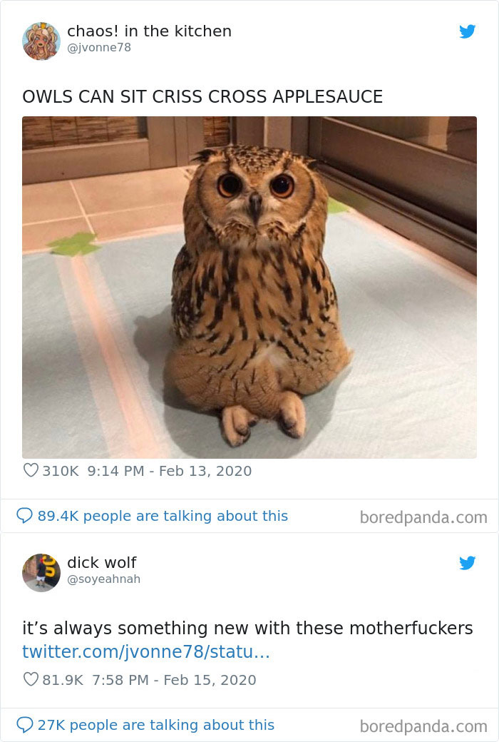 These Software Updates Are Getting Out Of Hand