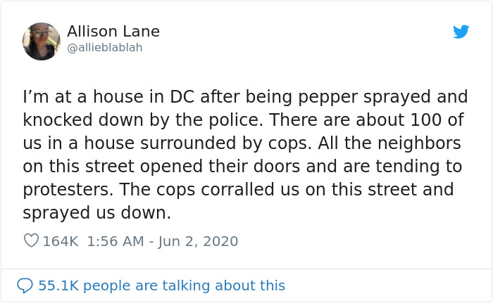 DC Resident Sheltered 80 Protesters Last Night, This Woman Tweeted What Happened Inside His Home