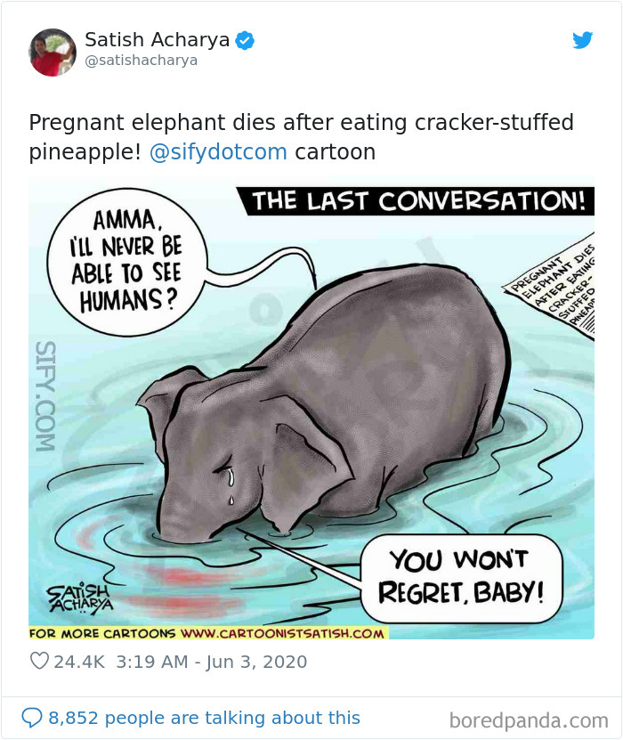 Pregnant-Elephant-Dies-Eats-Pineapple-Filled-With-Firecrackers-Artists-Pay-Tribute