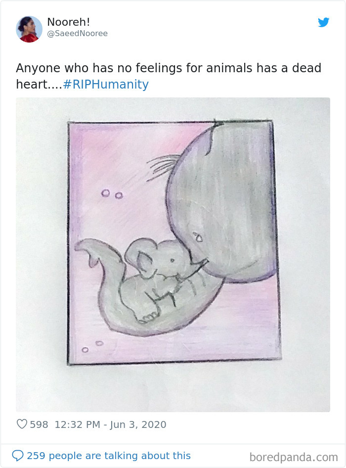 Pregnant-Elephant-Dies-Eats-Pineapple-Filled-With-Firecrackers-Artists-Pay-Tribute