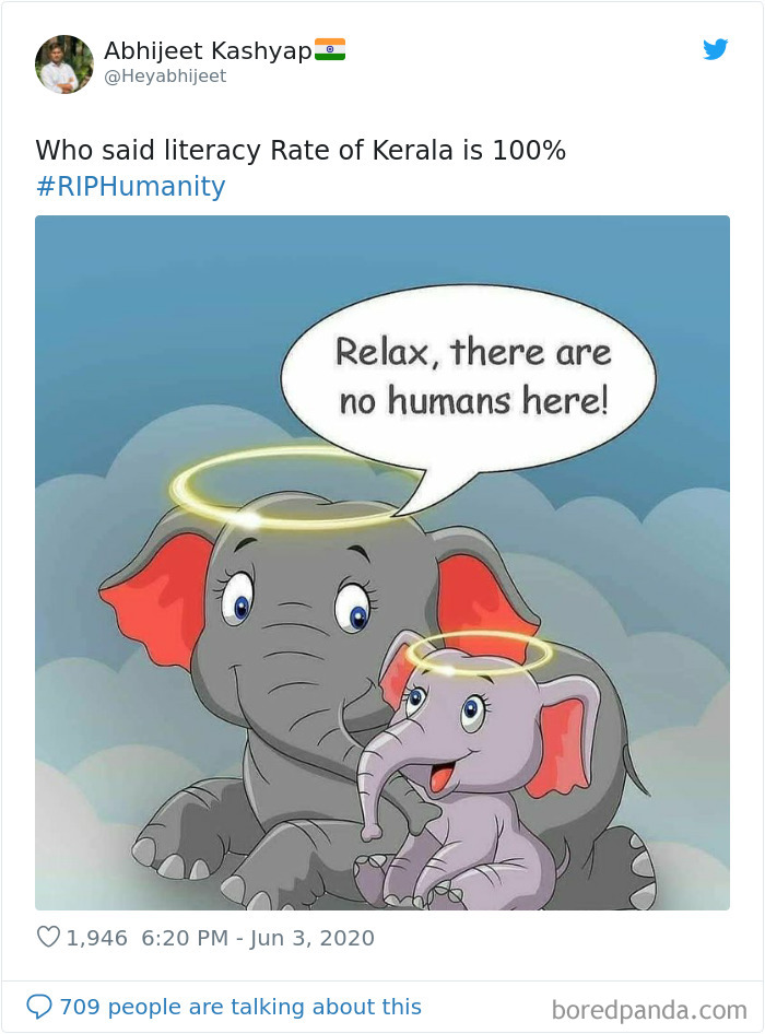 Pregnant-Elephant-Dies-Eats-Pineapple-Filled-With-Firecrackers-Artists-Pay-Tribute