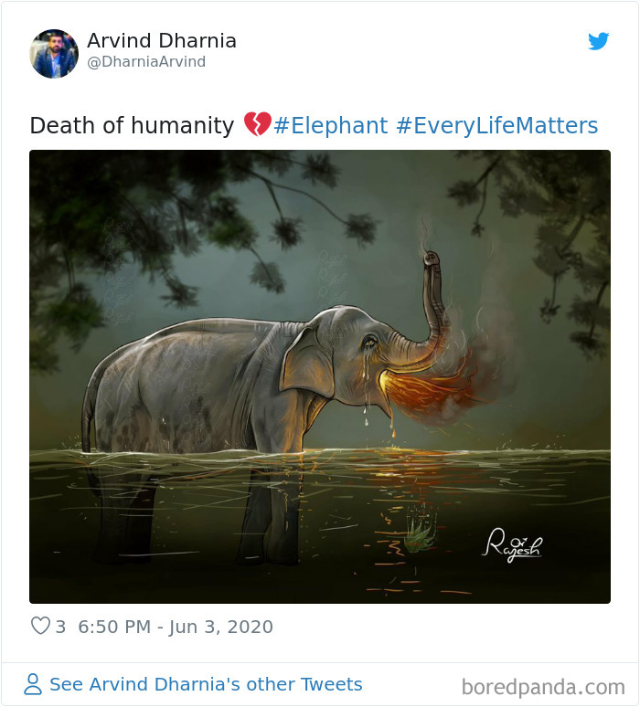 Pregnant-Elephant-Dies-Eats-Pineapple-Filled-With-Firecrackers-Artists-Pay-Tribute