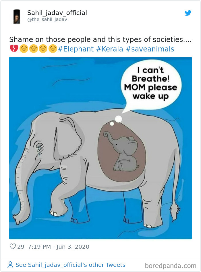 Pregnant-Elephant-Dies-Eats-Pineapple-Filled-With-Firecrackers-Artists-Pay-Tribute