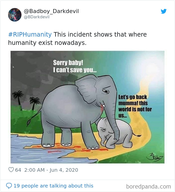 Pregnant-Elephant-Dies-Eats-Pineapple-Filled-With-Firecrackers-Artists-Pay-Tribute