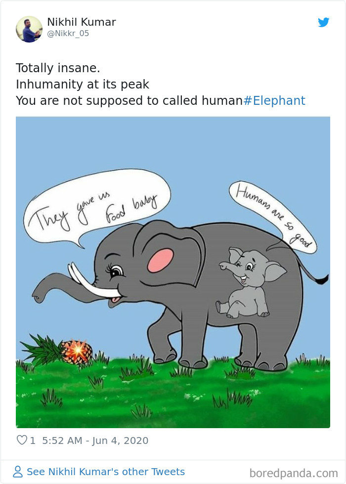 Pregnant-Elephant-Dies-Eats-Pineapple-Filled-With-Firecrackers-Artists-Pay-Tribute