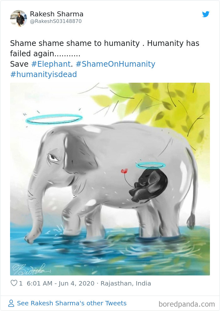 Pregnant-Elephant-Dies-Eats-Pineapple-Filled-With-Firecrackers-Artists-Pay-Tribute