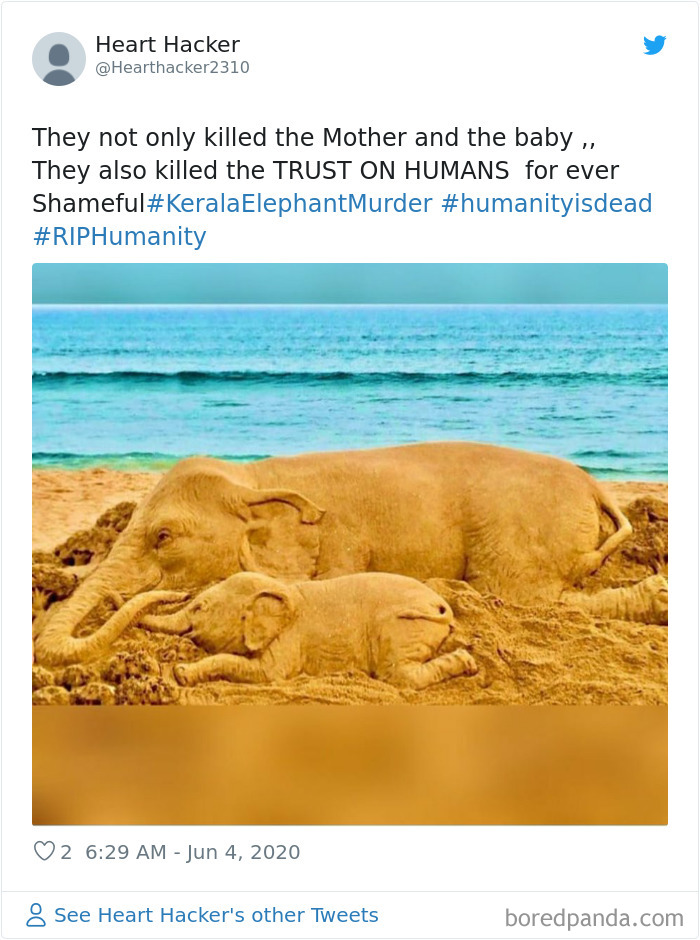 Pregnant-Elephant-Dies-Eats-Pineapple-Filled-With-Firecrackers-Artists-Pay-Tribute