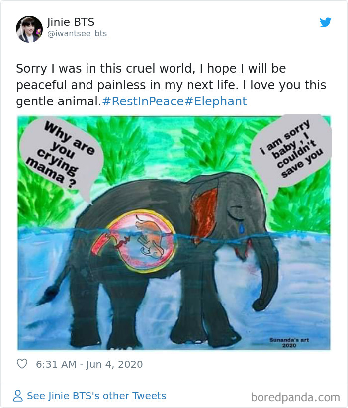 Pregnant-Elephant-Dies-Eats-Pineapple-Filled-With-Firecrackers-Artists-Pay-Tribute