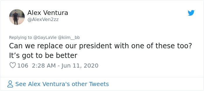 Someone Swaps Racist Monuments With Colorful Air Dancers In Hilarious Pics And People Think It’s An Awesome Idea Someone Swaps Racist Monuments With Colorful Air Dancers In Hilarious Pics And People Think It’s An Awesome Idea