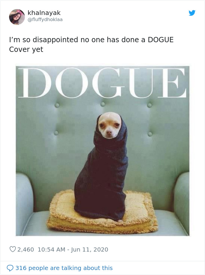 Vogue-Cover-Pets-Challenge