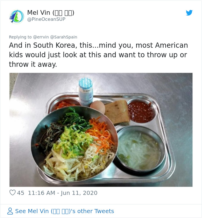 18 People Compare Some School Lunches, Show That US Education Is Underfunded While Their Police Is Overfunded