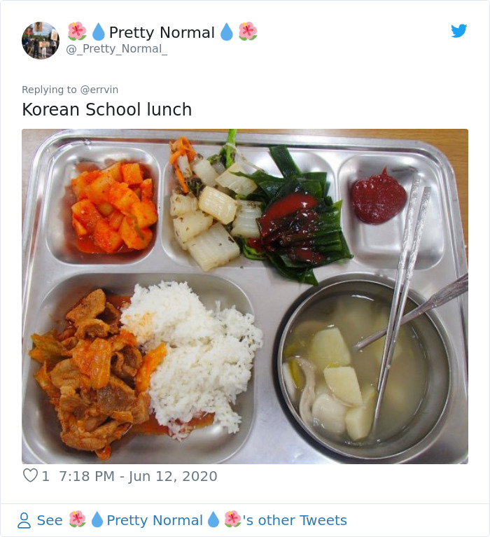 18 People Compare Some School Lunches, Show That US Education Is Underfunded While Their Police Is Overfunded