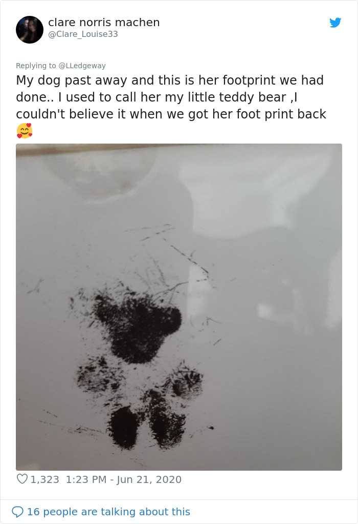 Woman Sees 'Her Dog' In The Sky A Few Hours After Her Death, Others Share Similar Pics And Stories Woman Sees 'Her Dog' In The Sky A Few Hours After Her Death, Others Share Similar Pics And Stories