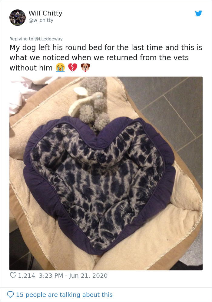 Woman Sees 'Her Dog' In The Sky A Few Hours After Her Death, Others Share Similar Pics And Stories