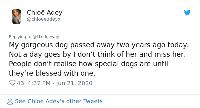 Woman Sees 'Her Dog' In The Sky A Few Hours After Her Death, Others Share Similar Pics And Stories Woman Sees 'Her Dog' In The Sky A Few Hours After Her Death, Others Share Similar Pics And Stories