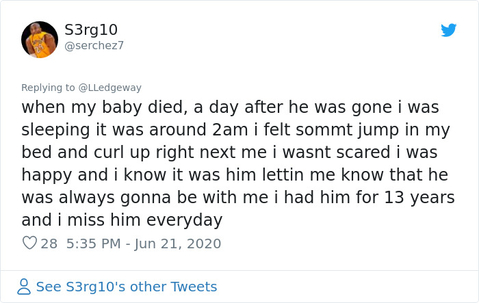 Woman Sees 'Her Dog' In The Sky A Few Hours After Her Death, Others Share Similar Pics And Stories