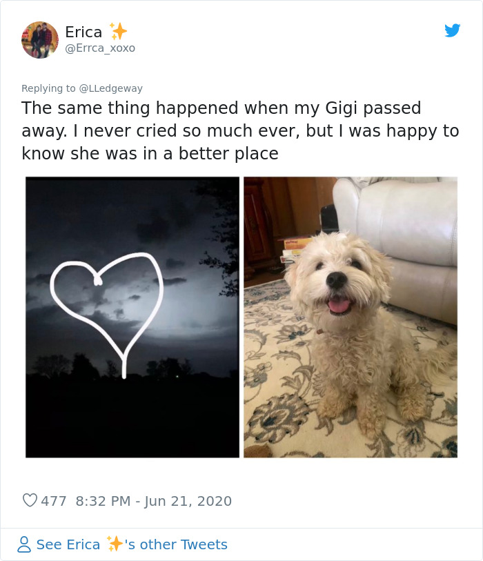 Woman Sees 'Her Dog' In The Sky A Few Hours After Her Death, Others Share Similar Pics And Stories Woman Sees 'Her Dog' In The Sky A Few Hours After Her Death, Others Share Similar Pics And Stories
