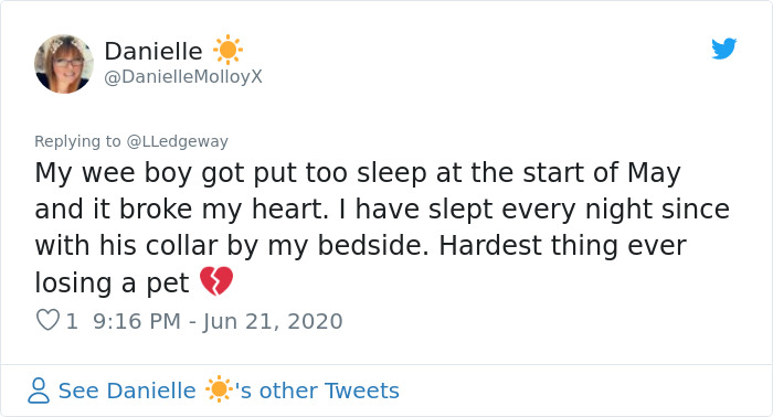 Woman Sees 'Her Dog' In The Sky A Few Hours After Her Death, Others Share Similar Pics And Stories