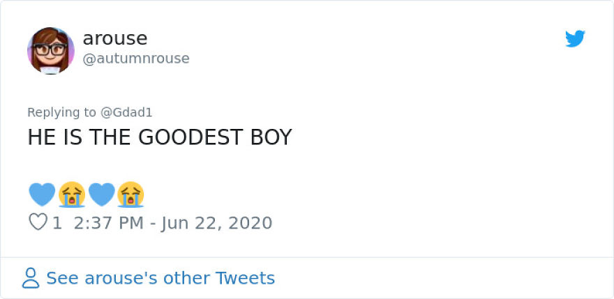 This Dog Comes Here Every Day And Helps Kindergarten Kids Safely Cross The Street This Dog Comes Here Every Day And Helps Kindergarten Kids Safely Cross The Street