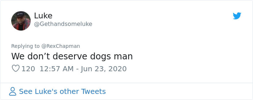 This Dog Comes Here Every Day And Helps Kindergarten Kids Safely Cross The Street This Dog Comes Here Every Day And Helps Kindergarten Kids Safely Cross The Street