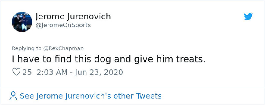 This Dog Comes Here Every Day And Helps Kindergarten Kids Safely Cross The Street This Dog Comes Here Every Day And Helps Kindergarten Kids Safely Cross The Street
