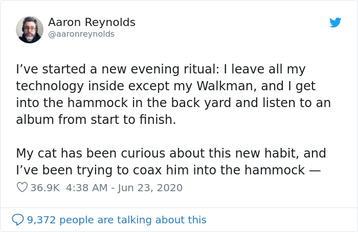 Guy With Poor Eyesight Thinks His Cat Is Climbing Into A Hammock, Realizes It's An Unwelcome Guest Too Late