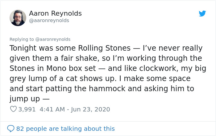 Guy With Poor Eyesight Thinks His Cat Is Climbing Into A Hammock, Realizes It's An Unwelcome Guest Too Late