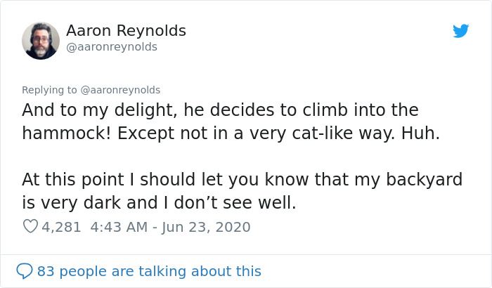 Guy With Poor Eyesight Thinks His Cat Is Climbing Into A Hammock, Realizes It's An Unwelcome Guest Too Late