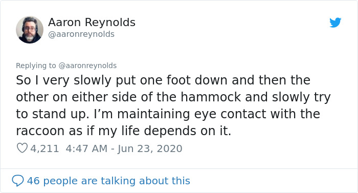 Guy With Poor Eyesight Thinks His Cat Is Climbing Into A Hammock, Realizes It's An Unwelcome Guest Too Late