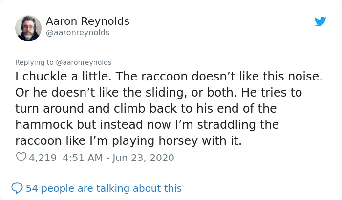 Guy With Poor Eyesight Thinks His Cat Is Climbing Into A Hammock, Realizes It's An Unwelcome Guest Too Late