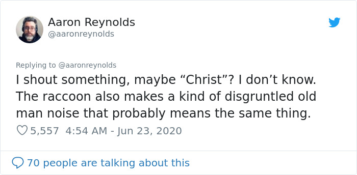 Guy With Poor Eyesight Thinks His Cat Is Climbing Into A Hammock, Realizes It's An Unwelcome Guest Too Late