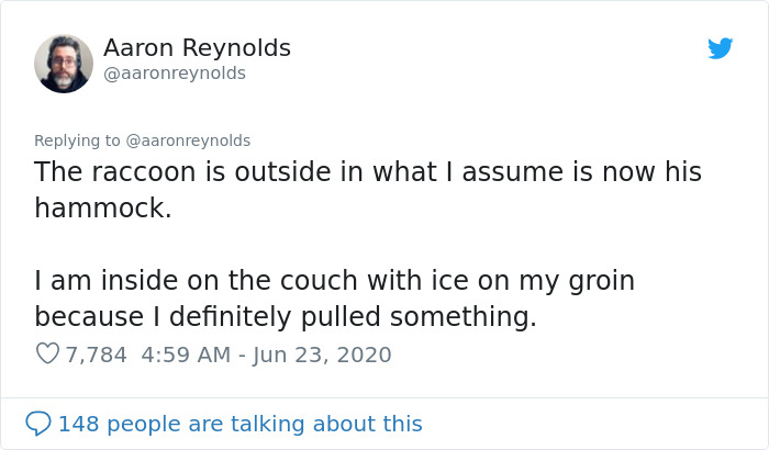 Guy With Poor Eyesight Thinks His Cat Is Climbing Into A Hammock, Realizes It's An Unwelcome Guest Too Late