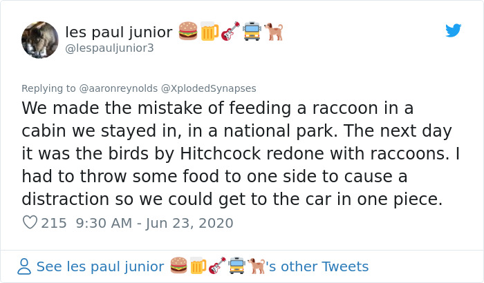 Guy With Poor Eyesight Thinks His Cat Is Climbing Into A Hammock, Realizes It's An Unwelcome Guest Too Late