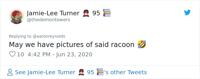 Guy With Poor Eyesight Thinks His Cat Is Climbing Into A Hammock, Realizes It's An Unwelcome Guest Too Late