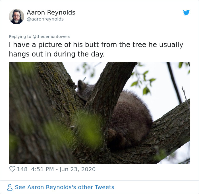 Guy With Poor Eyesight Thinks His Cat Is Climbing Into A Hammock, Realizes It's An Unwelcome Guest Too Late