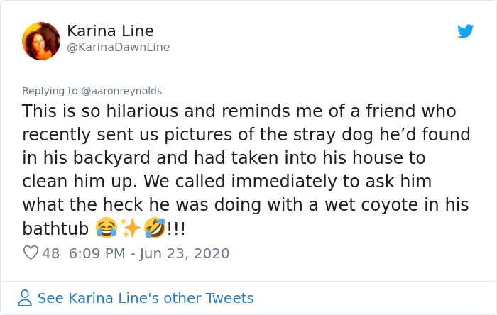 Guy With Poor Eyesight Thinks His Cat Is Climbing Into A Hammock, Realizes It's An Unwelcome Guest Too Late