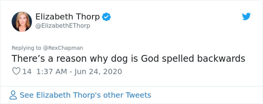 This Dog Comes Here Every Day And Helps Kindergarten Kids Safely Cross The Street This Dog Comes Here Every Day And Helps Kindergarten Kids Safely Cross The Street