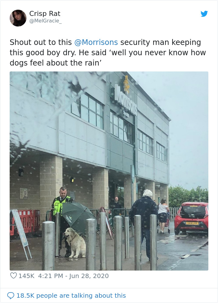 Security Guard For A Morrisons Store Goes Viral For Shielding A Waiting Dog From The Rain With His Umbrella Security Guard For A Morrisons Store Goes Viral For Shielding A Waiting Dog From The Rain With His Umbrella