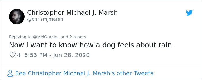 Security Guard For A Morrisons Store Goes Viral For Shielding A Waiting Dog From The Rain With His Umbrella Security Guard For A Morrisons Store Goes Viral For Shielding A Waiting Dog From The Rain With His Umbrella