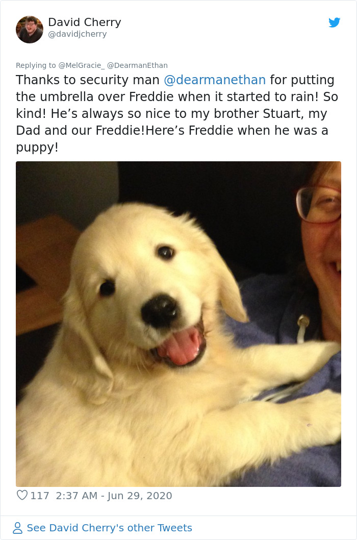 Security Guard For A Morrisons Store Goes Viral For Shielding A Waiting Dog From The Rain With His Umbrella Security Guard For A Morrisons Store Goes Viral For Shielding A Waiting Dog From The Rain With His Umbrella