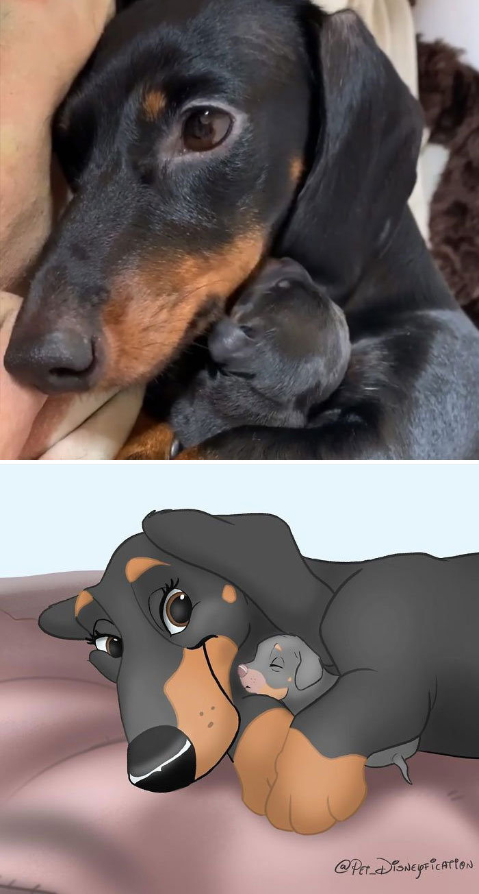 Artist-Turns-Pets-Disney-Characters-Pet-Disneyfication